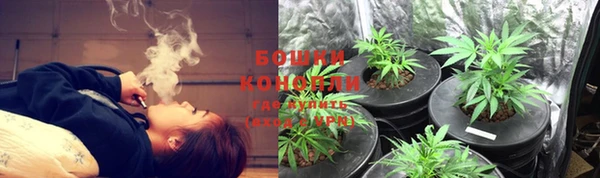 спайс Богородицк